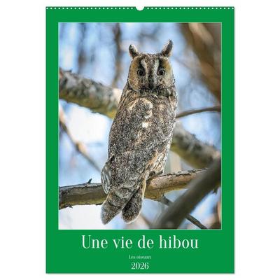 Une vie de hibou les oiseaux (Calendrier mural 2026 DIN A2 horizontal), CALVENDO calendrier mensuel