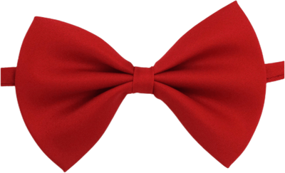 Fusion Finds Dapper Paws Adjustable Pet Bowtie Collar For Dogs & Cats red one size