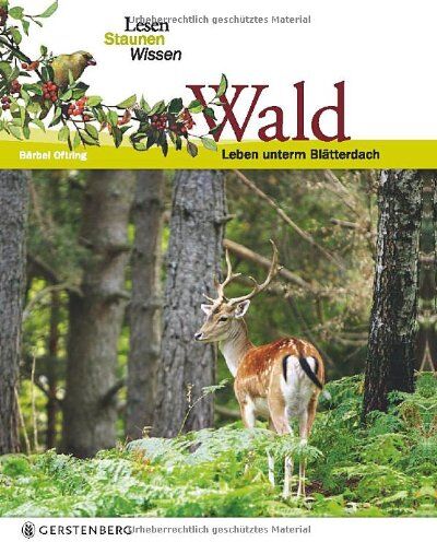 Bärbel Oftring - Wald. Lesen Staunen Wissen - Preis vom 30.09.2026 22:30:23 h