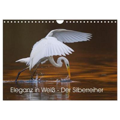 Eleganz in Weiß - Der Silberreiher (Wandkalender 2026 DIN A4 quer), CALVENDO Monatskalender