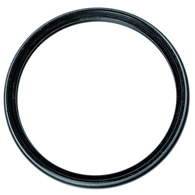 FACET Dichtung, Thermostat 79720