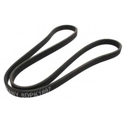 MAPCO Keilrippenriemen 261697d für BMW