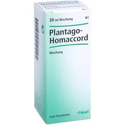 Plantago-Homaccord