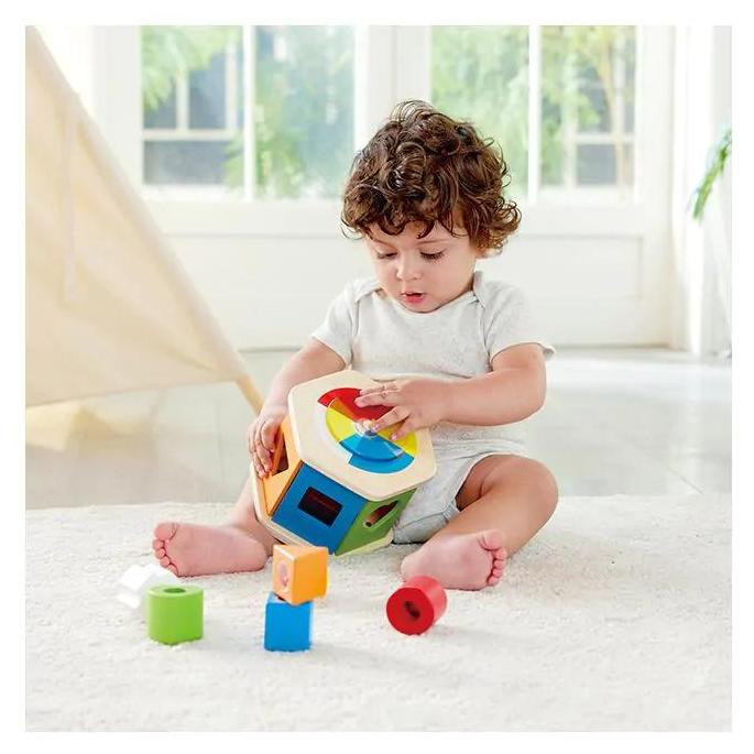 Hape Houten vormensorteerder, Meerkleurig