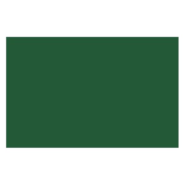 Winsor & Newton Ac Spray 400Ml Chromium Oxide Green 0166 (4450166)