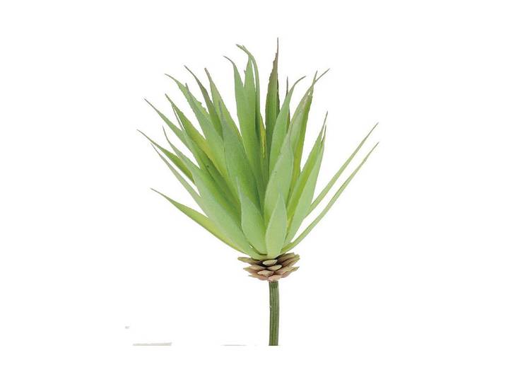 Glorex Yucca Kunstpflanze 16 cm