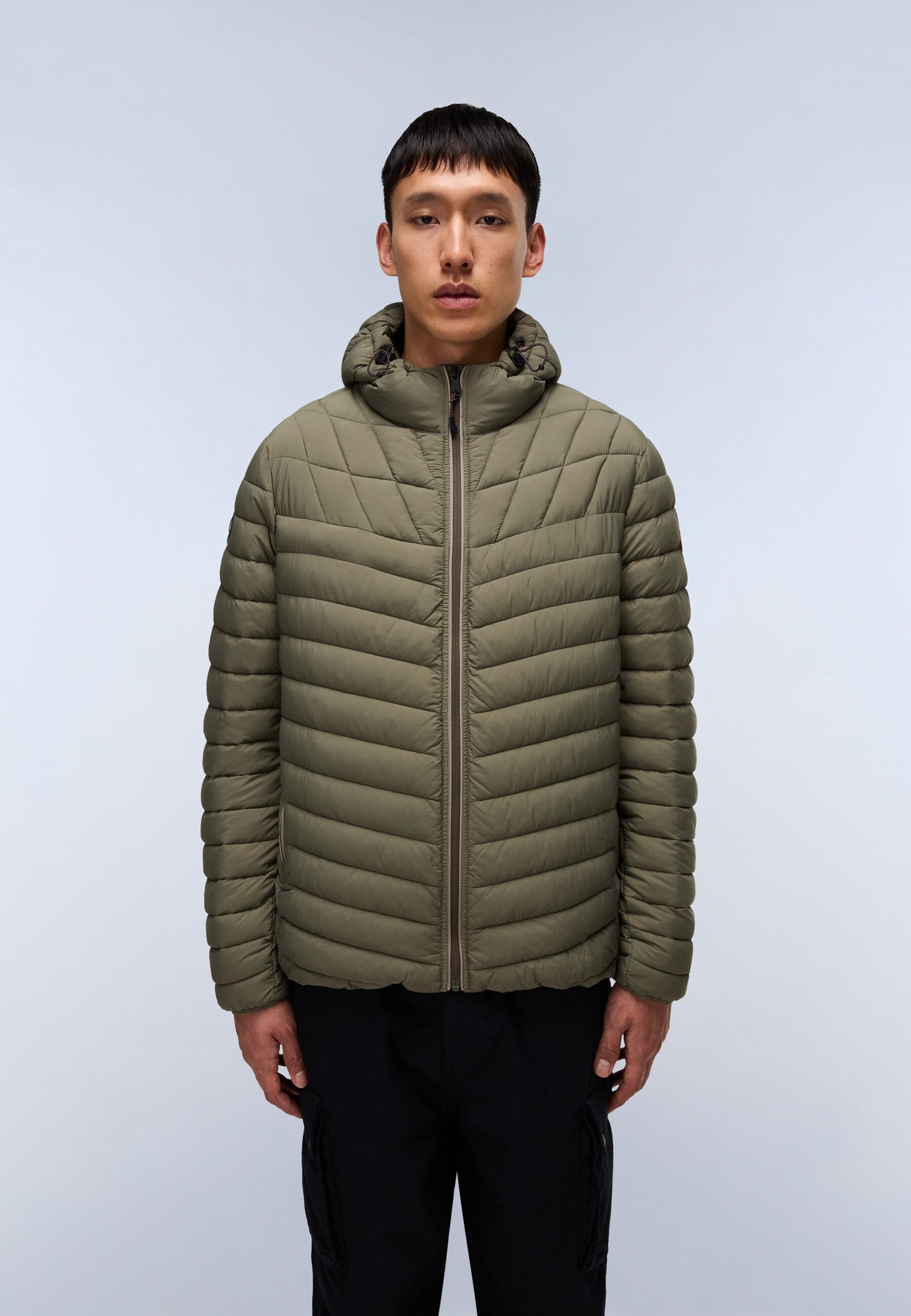 Steppjacke NAPAPIJRI "LAPAZ", Herren, Gr. M, grün (tea leaf), Obermaterial: 100% Polyamid, Jacken Steppjacke, mit Reissverschluss über die gesamte Länge tea leaf M