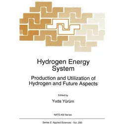 Hydrogen Energy System, Fachbücher von Yuda Yürüm