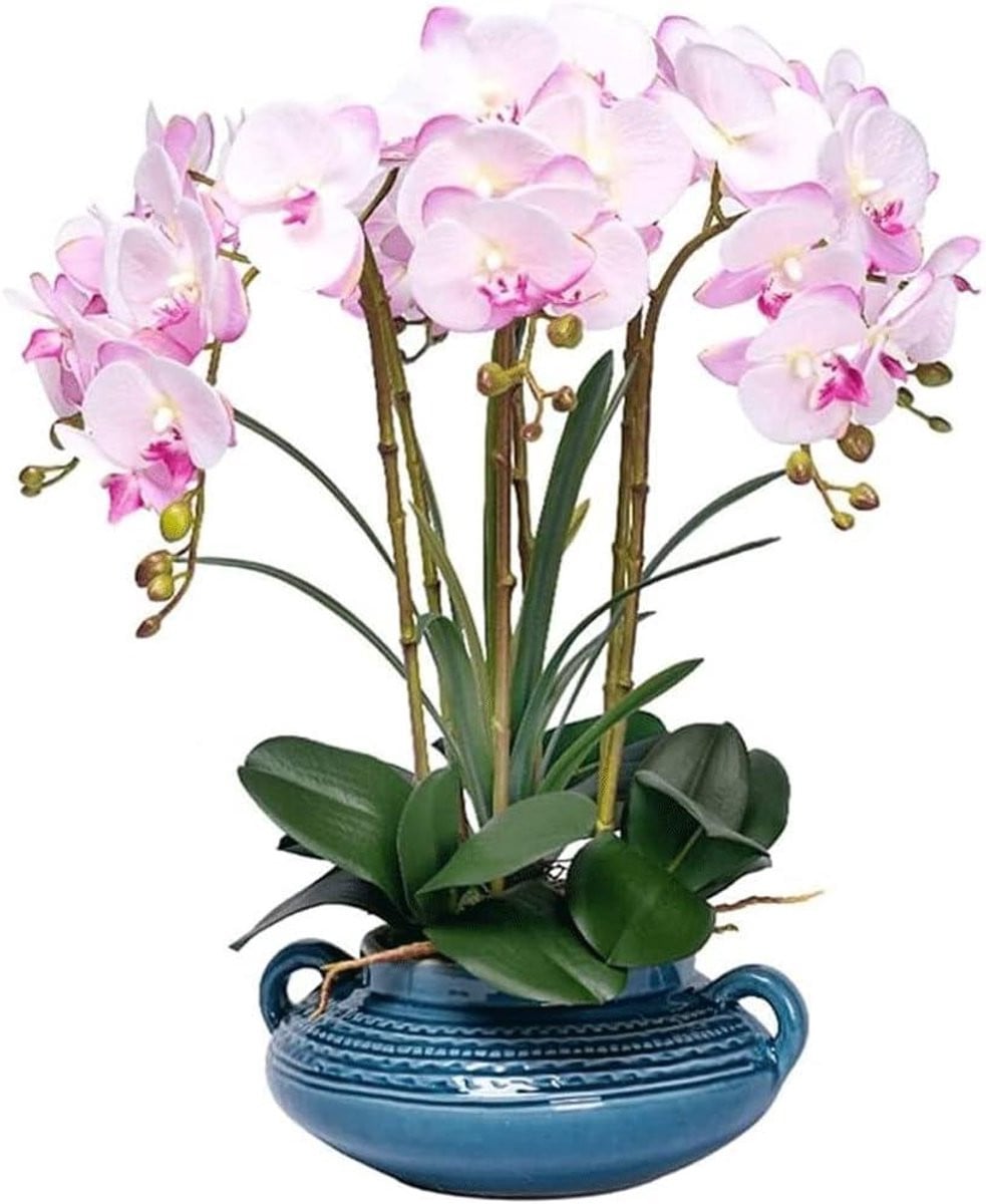 Realistische Kunstorchidee Phalaenopsis met Vaas voor Woonkamer Decoratie