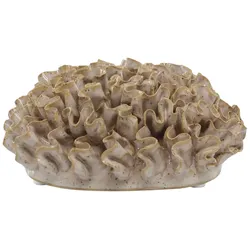Chic Antique Deko Koralle für Deko, Wanddeko, H7/L14,5/B14,5 cm latte