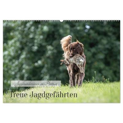 Treue Jagdgefährten - Jagdhunderassen im Portrait (Wandkalender 2026 DIN A2 quer), CALVENDO Monatskalender