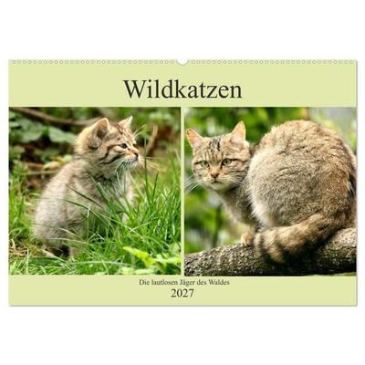 Wildkatzen - Die lautlosen Jäger des Waldes (Wandkalender 2027 DIN A2 quer), CALVENDO Monatskalender