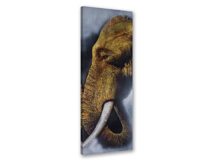 Feeby Wandbild einzelner elefant, Braun, Tiere, Rechteckig, 30x90 cm, Bilder & Rahmen, Bilder, Leinwandbilder