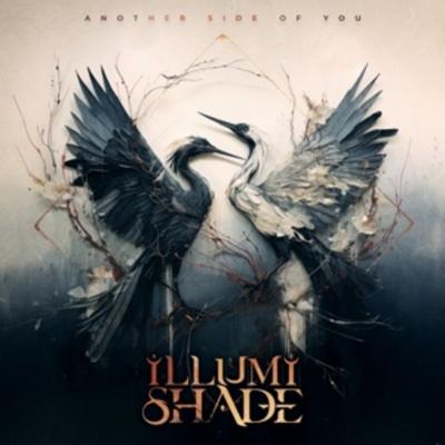 Another Side of You - Illumishade, Vinyl