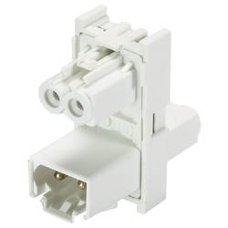 Wieland Electric 91.020.7053.0 Verteiler