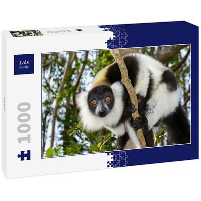 Lais Puzzle Lemur 1000 Teile