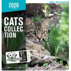 Martin Sellier, Kalender, Chats