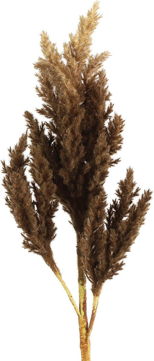 Decostar Astilbe decoratietakken - Bruin - Hoogte: 81 cm