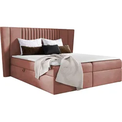 BOXBETT Spark - H3