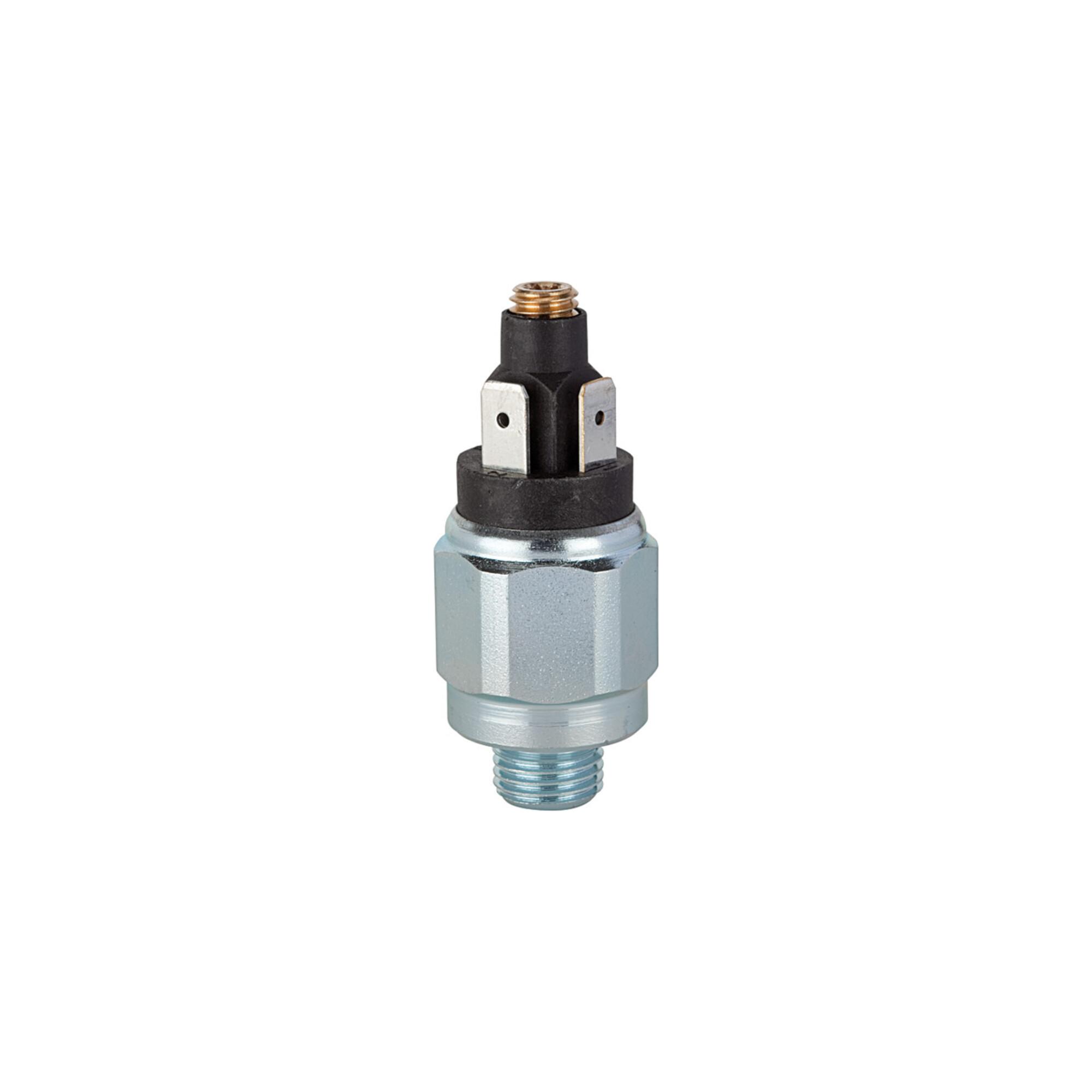 Riegler Druckschalter Standard Stahl verzinkt G 1/4 1 - 10 bar Öffner, DS 4025)