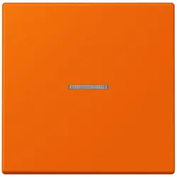 Jung Wippe mit Lichtleiter LC 101 KO5 224