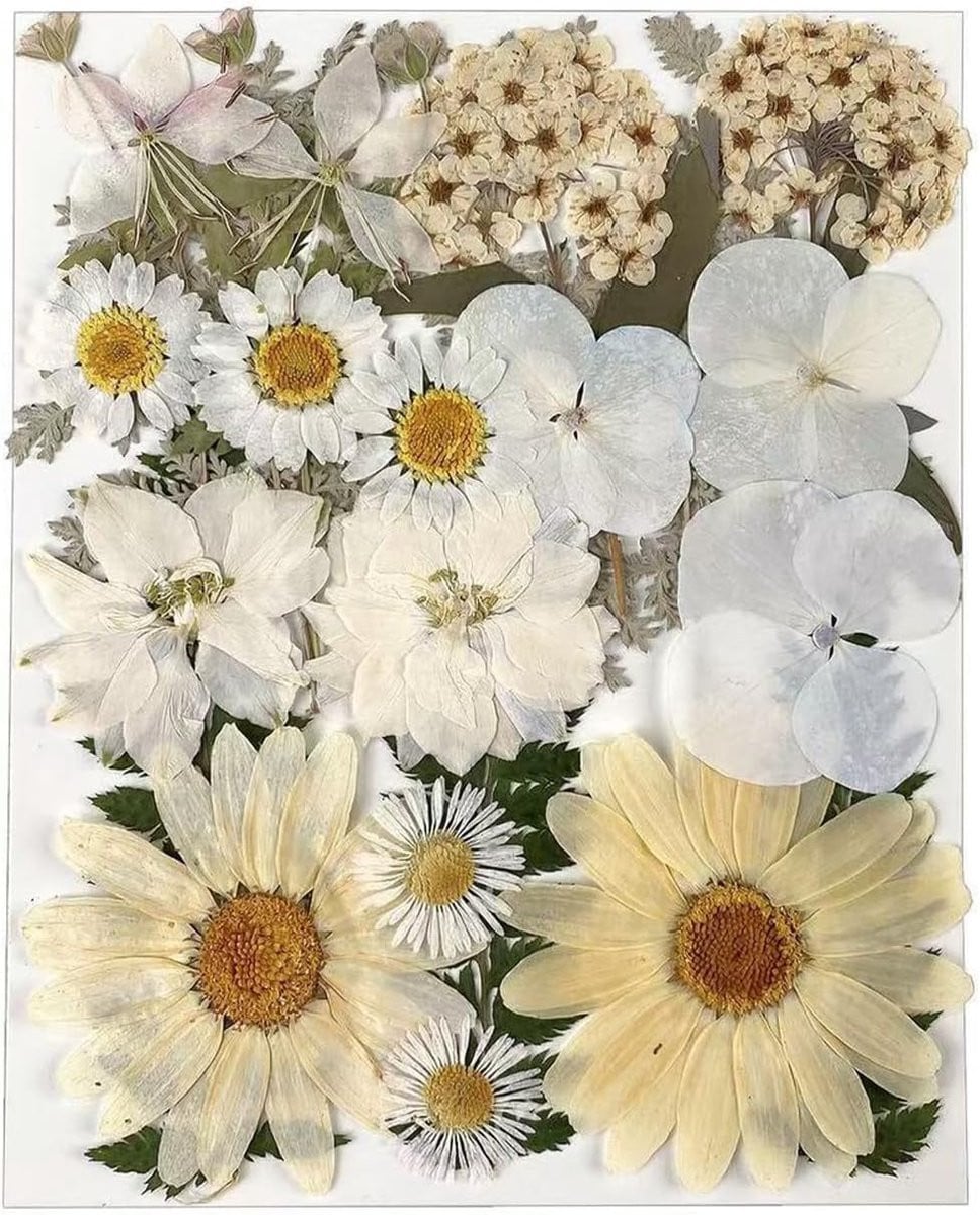 Gedroogde bloemen set van 25 stuks - Echte geperste bloemen voor natuurlijke decoratie en knutselprojecten - ShopVlot