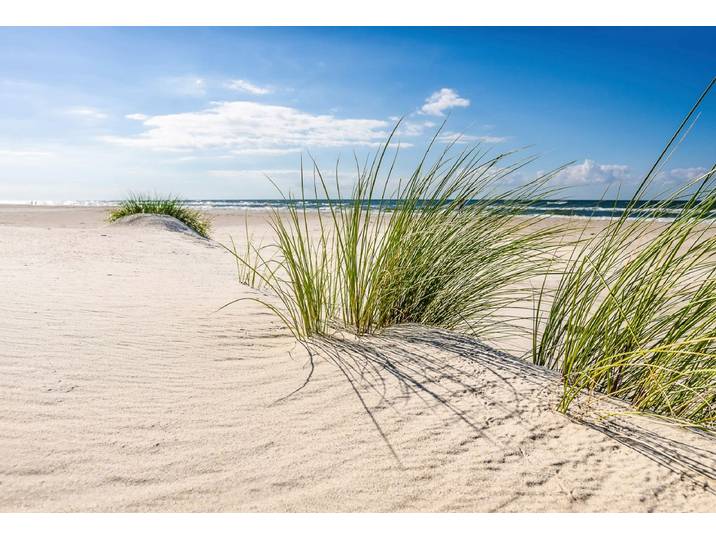Fototapete PAPERMOON DÜNEN-NATUR NORD SEE SAND STRAND MEER WÜSTE LANDSCHAFT , bunt, B:1,5m L:1,11m, Vlies, Tapeten, Fototapete