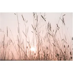 FOTOTAPETE Ein traumhafter Sommerabend 336/225 cm