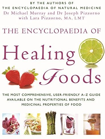 Murray, Dr Michael - The Encyclopaedia of Healing Foods - Preis vom 30.09.2026 22:30:23 h