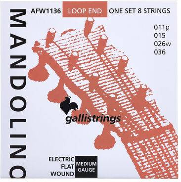 Galli Strings AFW1136 Mandolin Str. Medium