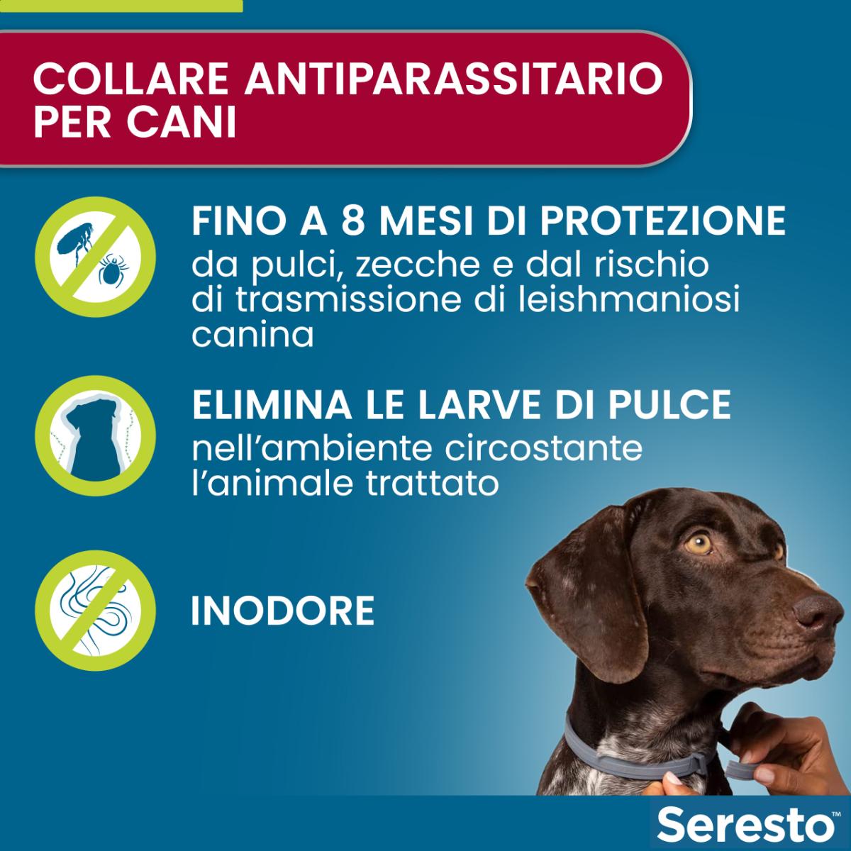 Seresto Collare Antiparassitario Cani Grandi KIT 3PZ