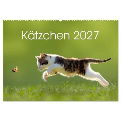 Kätzchen 2027 (Wandkalender 2027 DIN A2 quer), CALVENDO Monatskalender