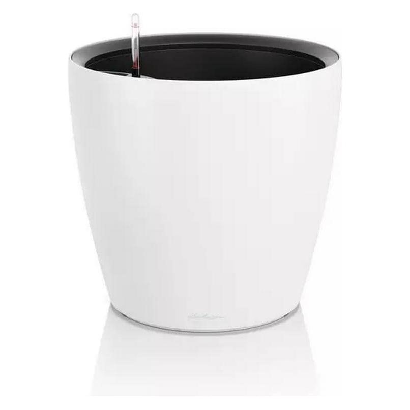 Lechuza CLASSICO Color LS 50 (49 x 46.50 cm) (4008789194701)