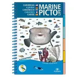 Pictolife - Bestimmungsbuch - Karibik