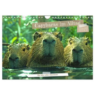 Capybaras im Alltag - Ein Jahr voller Abenteuer (Wandkalender 2027 DIN A4 quer), CALVENDO Monatskalender