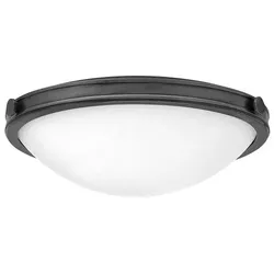Hinkley Collier Deckenleuchte Schwarz HK-COLLIER-F-M-BX