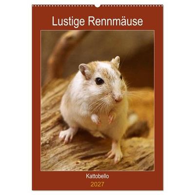 Lustige Rennmäuse (Wandkalender 2027 DIN A2 hoch), CALVENDO Monatskalender