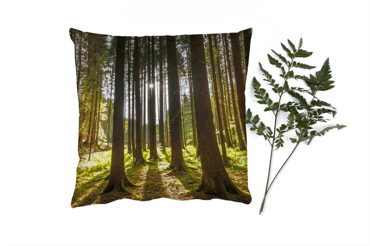 PillowMonkey Sierkussen Boom Natuur Zon Bos 40x40 cm