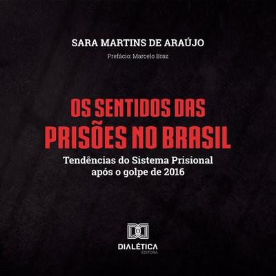 Os Sentidos das Prisões no Brasil - Sara Martins de Araújo, Audio, 9786527026884
