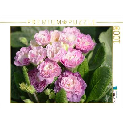 CALVENDO Puzzle Gefüllte Primeln | 1000 Teile Lege-Größe 64x48cm Foto-Puzzle für glückliche Stunden