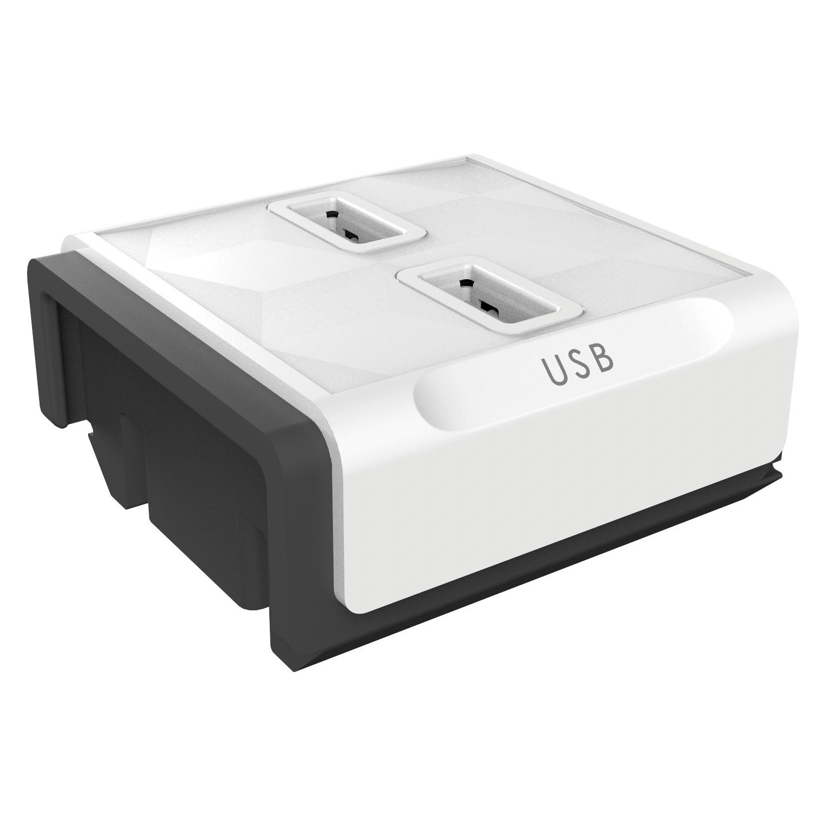 Allocacoc USB charger module, PowerStrip PDU MODULE, 2X USB (10096/MDUSB2)