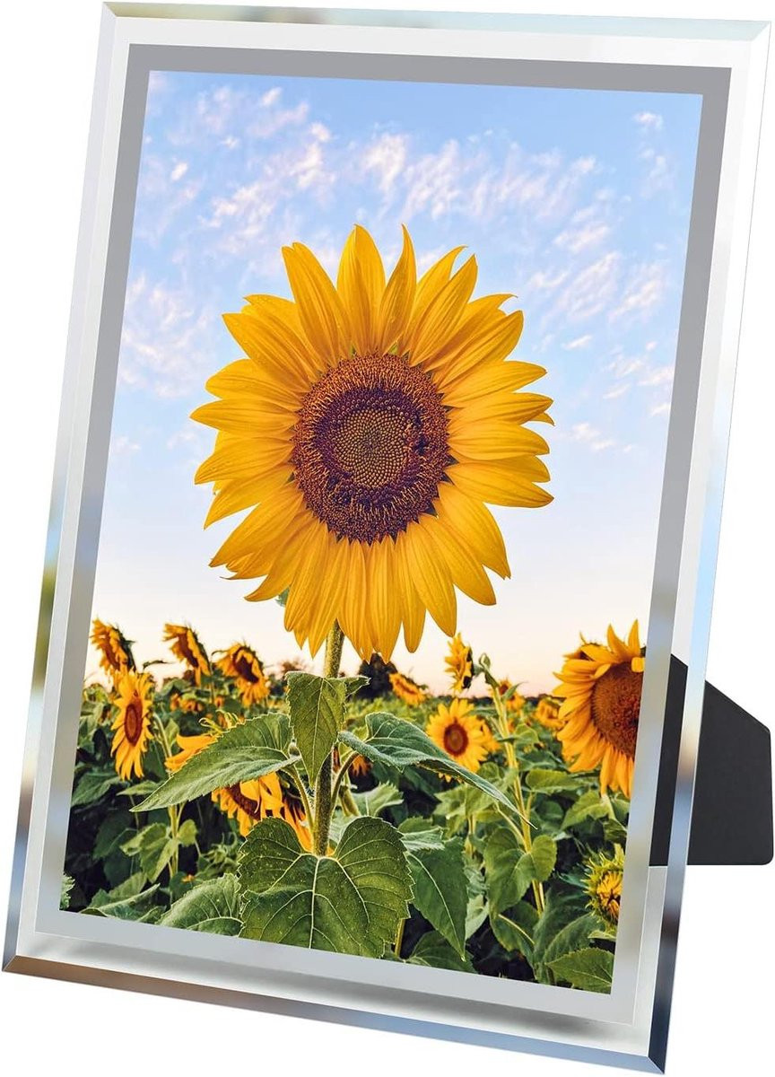 Zilveren Fotolijst van Glas voor A4 Documenten