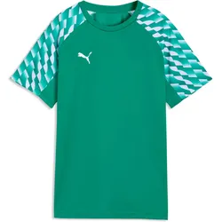 Puma, Damen, Sportshirt, Maillot Damen Liga 26 (L), Grün
