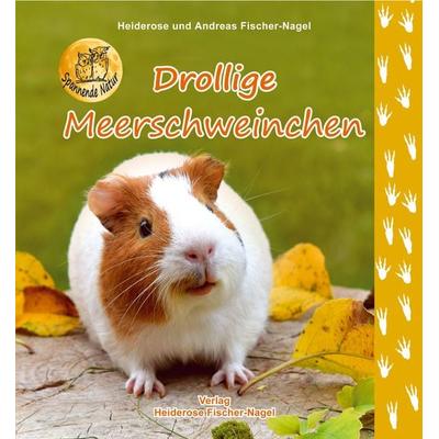 Drollige Meerschweinchen, Gebundene Ausgabe von Heiderose Fischer-Nagel,Andreas Fischer-Nagel, Fischer-Nagel, H