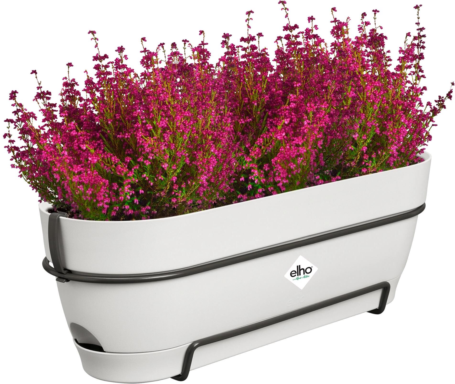 Blumentopf ELHO "Vibia Campana Balkonkasten Allin1 50 cm", weiss (weiß), Pflanzgefässe, Blumentopf weiß Einheitsgröße
