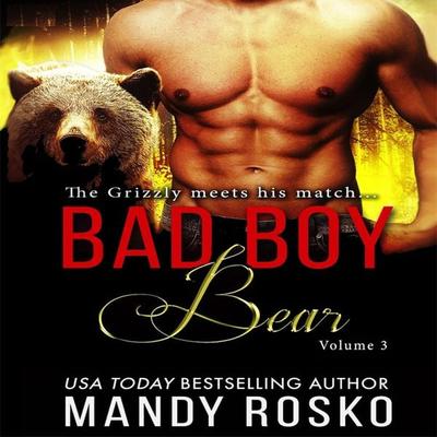 Bad Boy Bear - Mandy Rosko, Audio, 9781945213816