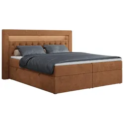 BOXBETT GOLD-6 LED 200/200 Orange Struktur - H3
