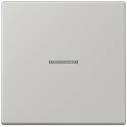 Jung Wippe mit Lichtleiter LC 101 KO5 205