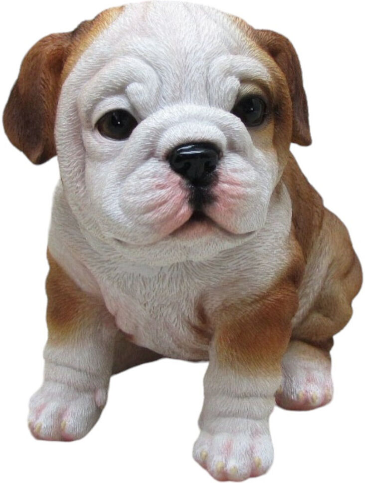 FD Dekofigur Bulldogge sitzend 17 x 16 x 12 cm weiß braun