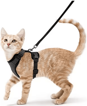 Inspire Picks EasyControl Escape Proof Cat Harness & Leash Vest For Safe Walking black s (4 7.5kg)